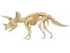 Анатомічна модель Динозавр Трицератопс 4D Master 26093
